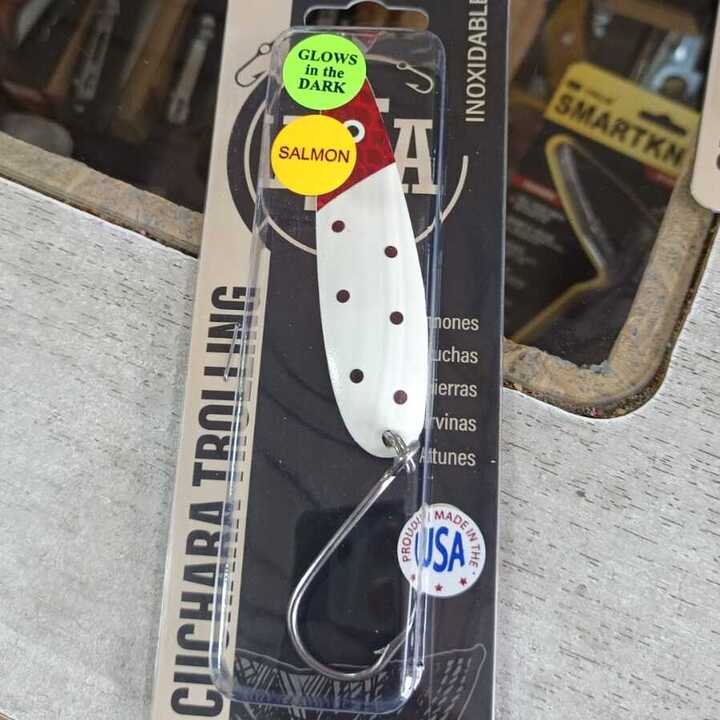 WhatsApp Image 2025-09-16 at 2.44.52 PM (1) (1)