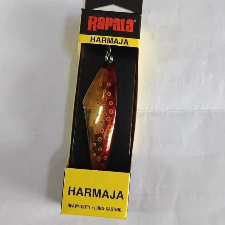 WhatsApp Image 2025-11-07 at 10.11.57 AM (2) (2)