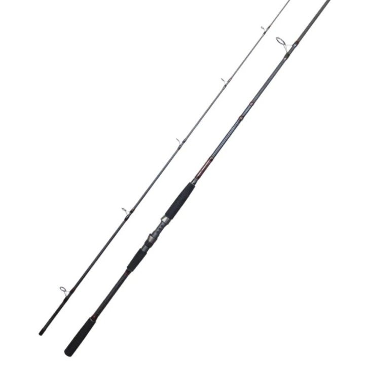 WhatsApp Image 2026-02-25 at 5.37.03 PM (1) (1)